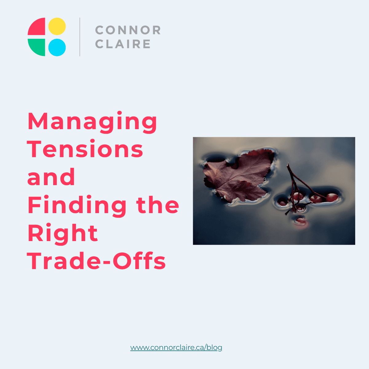 Connor Claire Group title graphic reading "Managing Tensions and Finding the Right Trade-Offs," beside a photo of a dark red leaf and a sprig of red berries floating on still, dark water.