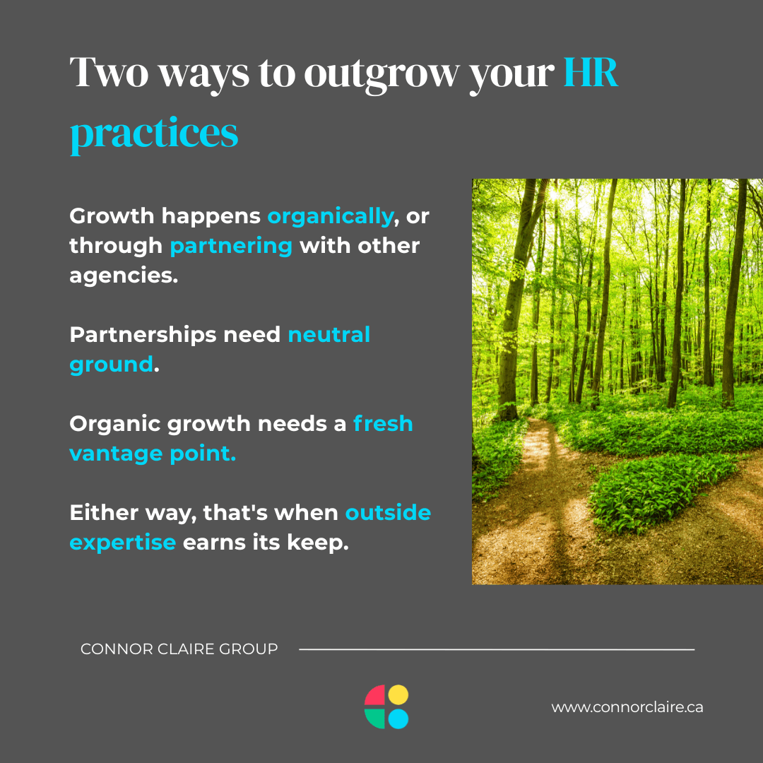 Two ways to outgrow your HR practices,' with takeaways on partnering versus organic growth and where outside expertise helps, alongside a forest path photo